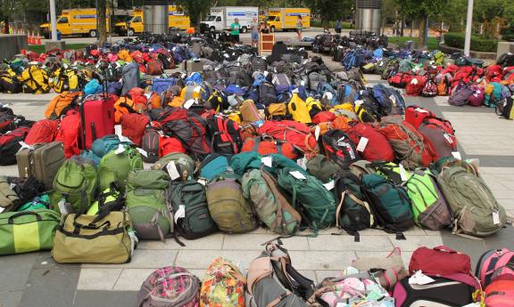 Rows of bags sorted by color